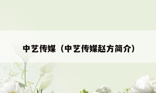 中艺传媒（中艺传媒赵方简介）