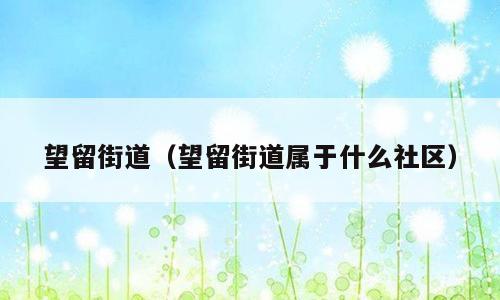 望留街道（望留街道属于什么社区）