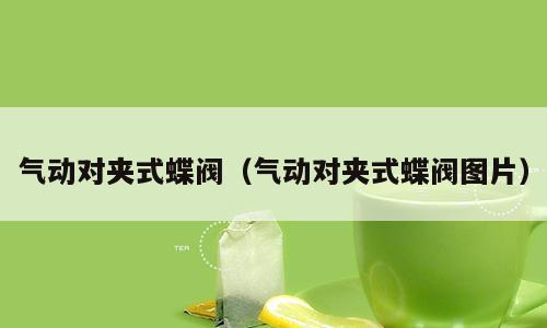 气动对夹式蝶阀（气动对夹式蝶阀图片）