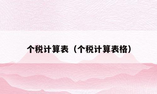 个税计算表（个税计算表格）