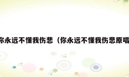 你永远不懂我伤悲（你永远不懂我伤悲原唱）