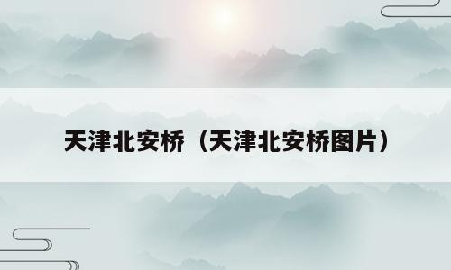 天津北安桥（天津北安桥图片）