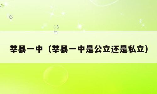 莘县一中（莘县一中是公立还是私立）