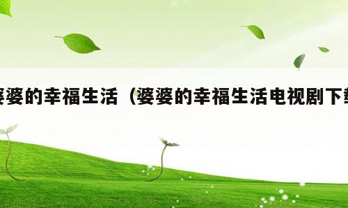 婆婆的幸福生活（婆婆的幸福生活电视剧下载）