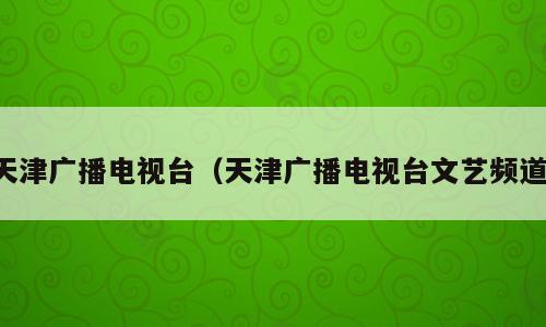 天津广播电视台（天津广播电视台文艺频道）