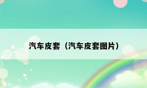 汽车皮套（汽车皮套图片）