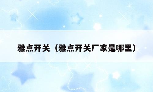 雅点开关（雅点开关厂家是哪里）