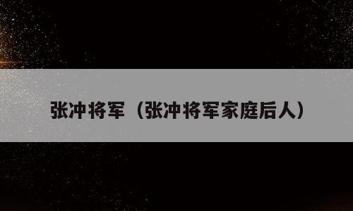 张冲将军（张冲将军家庭后人）