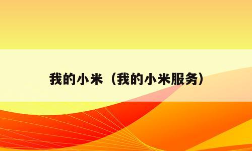 我的小米（我的小米服务）