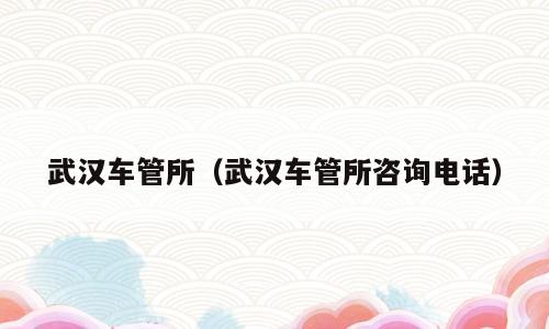 武汉车管所（武汉车管所咨询电话）