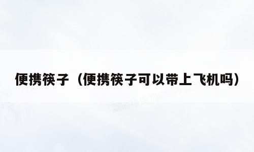 便携筷子（便携筷子可以带上飞机吗）