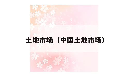 土地市场（中国土地市场）