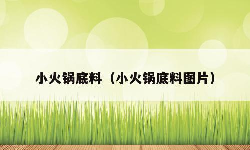 小火锅底料（小火锅底料图片）