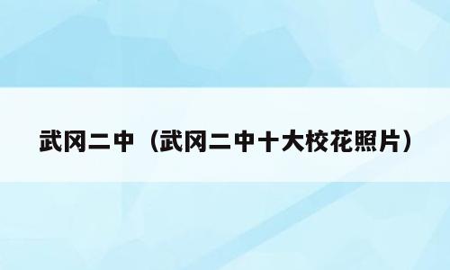 武冈二中（武冈二中十大校花照片）