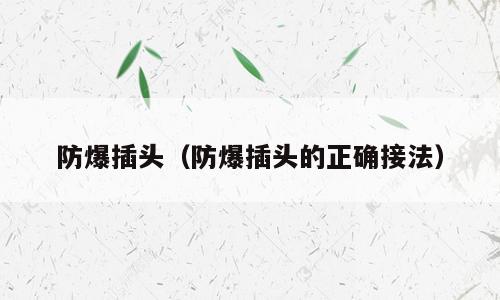 防爆插头（防爆插头的正确接法）