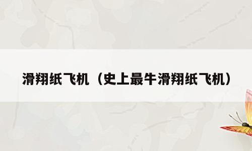 滑翔纸飞机（史上最牛滑翔纸飞机）