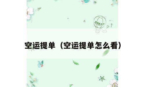 空运提单（空运提单怎么看）