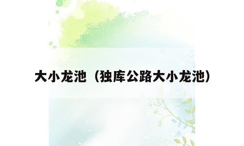 大小龙池（独库公路大小龙池）