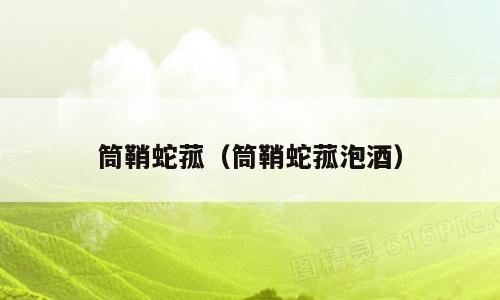 筒鞘蛇菰（筒鞘蛇菰泡酒）