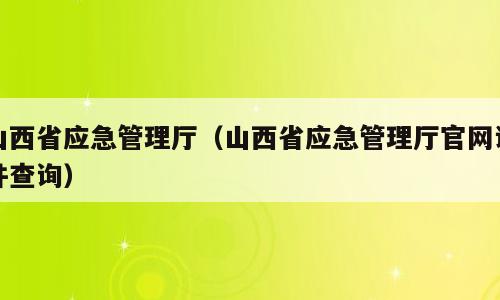 山西省应急管理厅（山西省应急管理厅官网证件查询）
