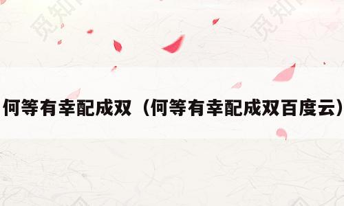 何等有幸配成双（何等有幸配成双百度云）
