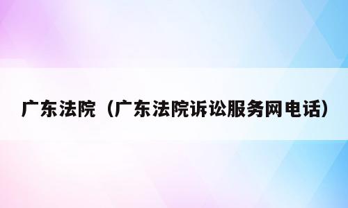 广东法院（广东法院诉讼服务网电话）