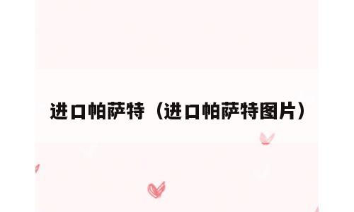 进口帕萨特（进口帕萨特图片）