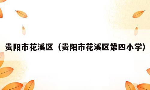 贵阳市花溪区（贵阳市花溪区第四小学）