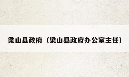 梁山县政府（梁山县政府办公室主任）