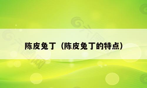陈皮兔丁（陈皮兔丁的特点）