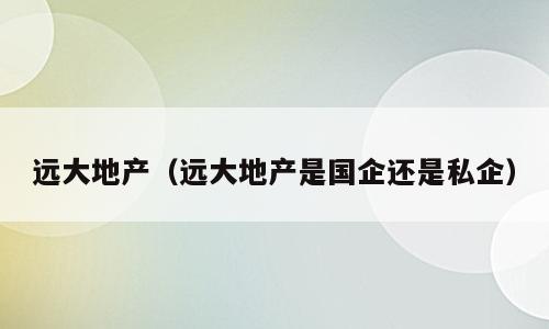 远大地产（远大地产是国企还是私企）