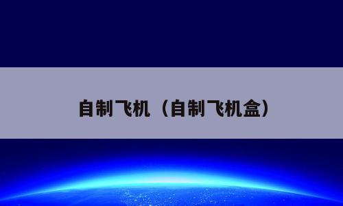 自制飞机（自制飞机盒）