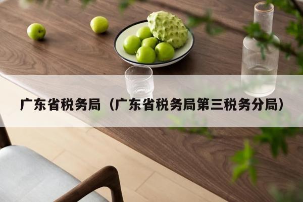 广东省税务局（广东省税务局第三税务分局）