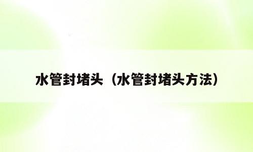 水管封堵头（水管封堵头方法）