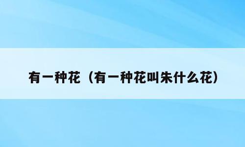 有一种花（有一种花叫朱什么花）