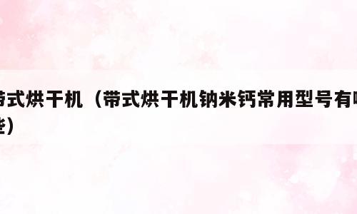 带式烘干机（带式烘干机钠米钙常用型号有哪些）
