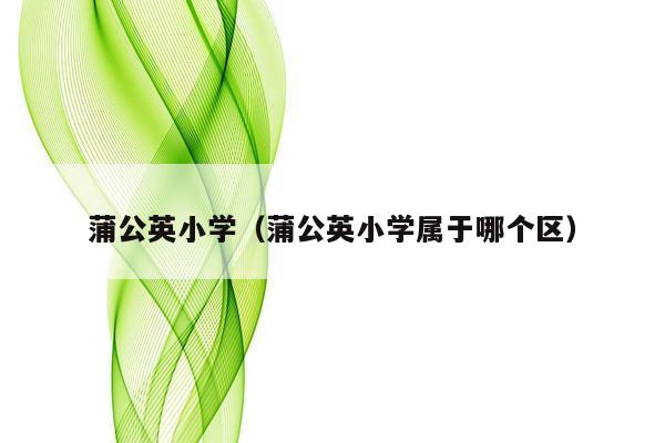 蒲公英小学（蒲公英小学属于哪个区）