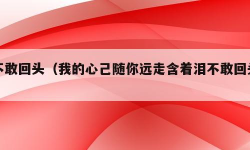 不敢回头（我的心己随你远走含着泪不敢回头）