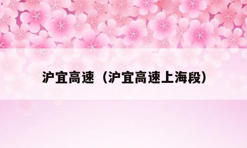 沪宜高速（沪宜高速上海段）