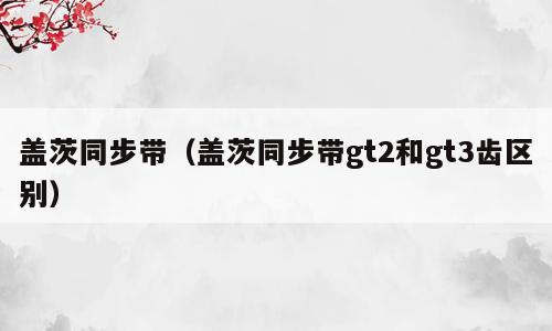 盖茨同步带（盖茨同步带gt2和gt3齿区别）