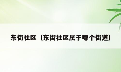 东街社区（东街社区属于哪个街道）