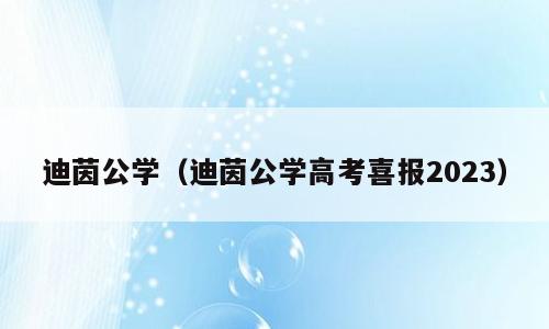 迪茵公学（迪茵公学高考喜报2023）