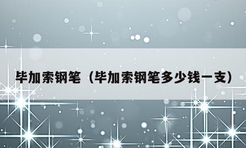 毕加索钢笔（毕加索钢笔多少钱一支）