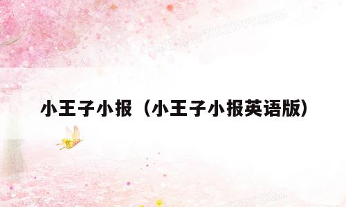 小王子小报（小王子小报英语版）