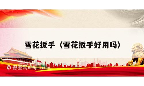 雪花扳手（雪花扳手好用吗）