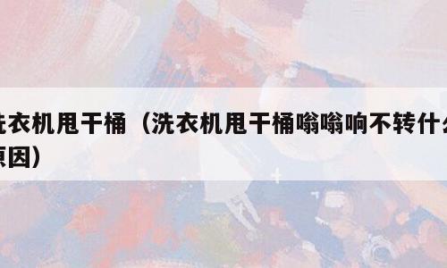 洗衣机甩干桶（洗衣机甩干桶嗡嗡响不转什么原因）