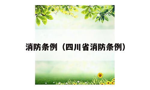 消防条例（四川省消防条例）