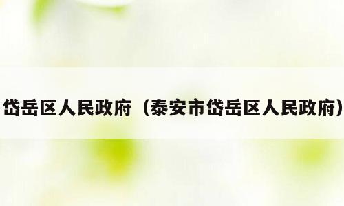 岱岳区人民政府（泰安市岱岳区人民政府）