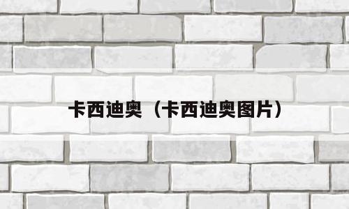 卡西迪奥（卡西迪奥图片）