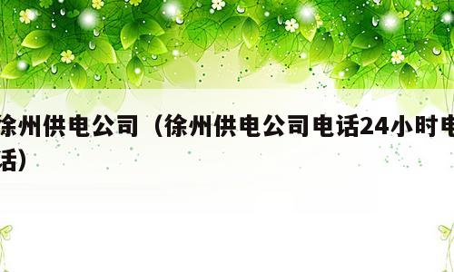 徐州供电公司（徐州供电公司电话24小时电话）
